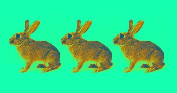 Gene-Hacking Breakthrough Could Nix Mammals’ Ability to Reproduce 8 Gene-Hacking Breakthrough Could Nix Mammals’ Ability to Reproduce