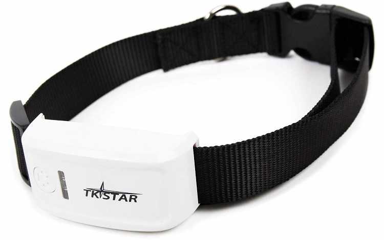 TKStar Mini Dog GPS Tracker