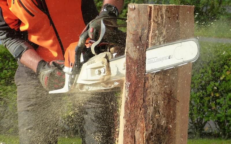 Chainsaw Buying Guide 2021