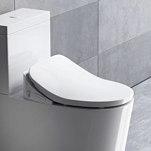 Ecofresh Intelligent Toilet Seat