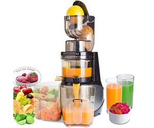 Vitalisci Cold Press Juicer