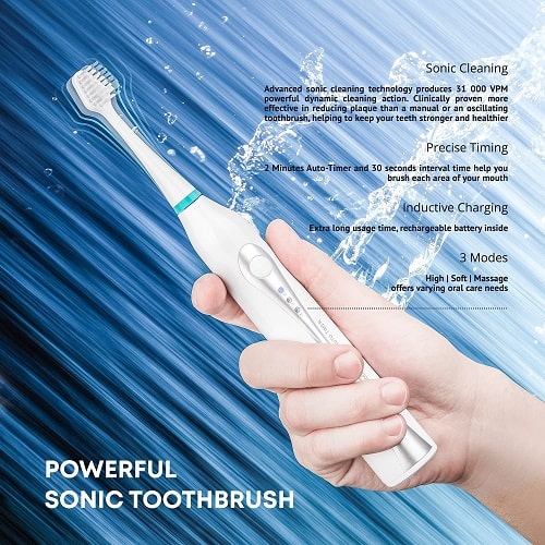 Aquasonic best family electric toothbrush