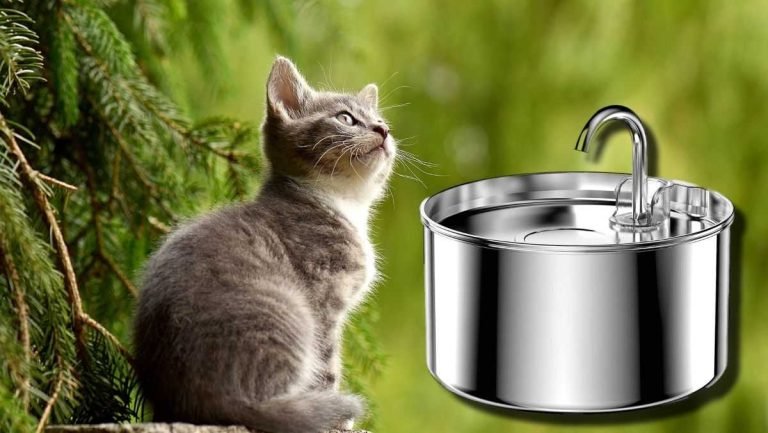 AOOGITF Cat Water Fountain Review