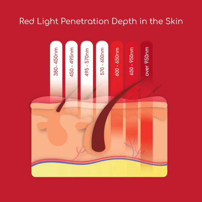 Red Light Penetration Depth in the Skin