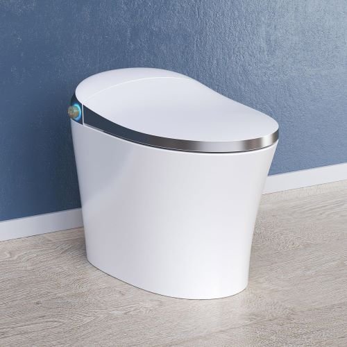 horrow smart toilet