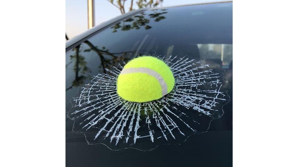 prank car sticker novelty