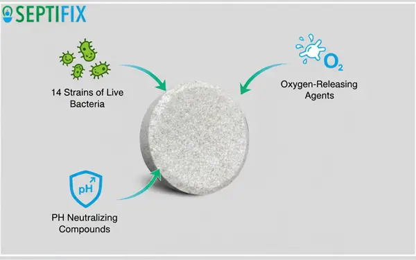 Septifix Review: Does It Actually Work, or Just Another Septic System Scam? 9